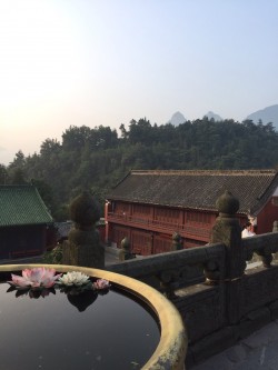 Hubei Monts Wu Dang