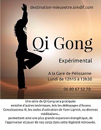 Qi gong Expérimental